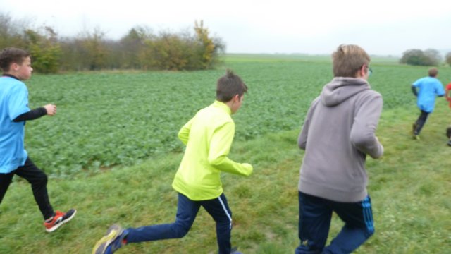 cross45.jpg