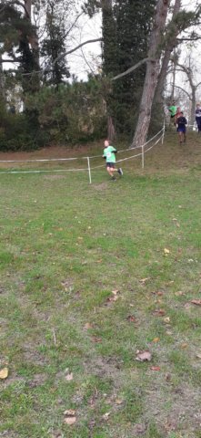 dptxcross5.jpg