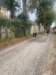 cross202434_small.jpg