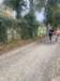 cross202435_small.jpg