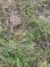cross202445_small.jpg