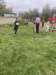 cross202456_small.jpg